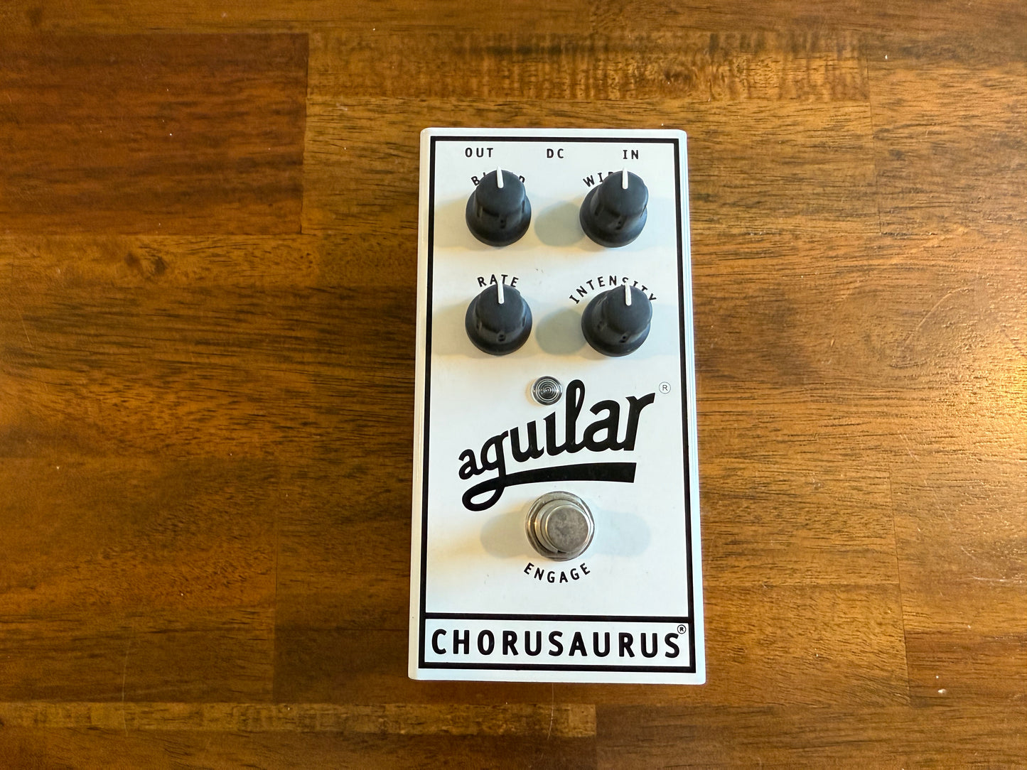 Aguilar Chorusaurus