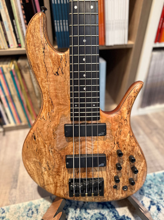 Custom 5-String FBass