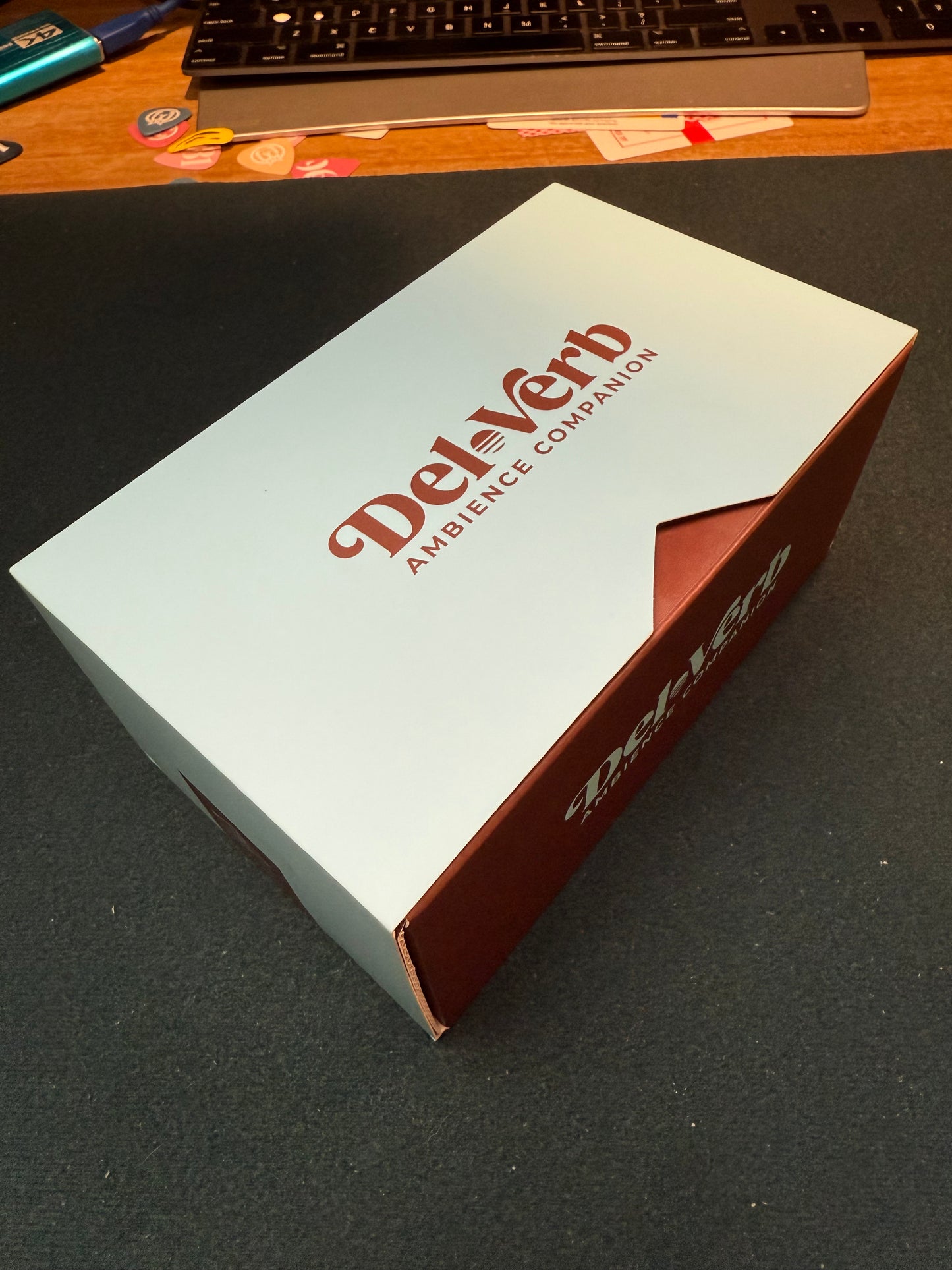 UAFX Del-Verb Ambience Companion