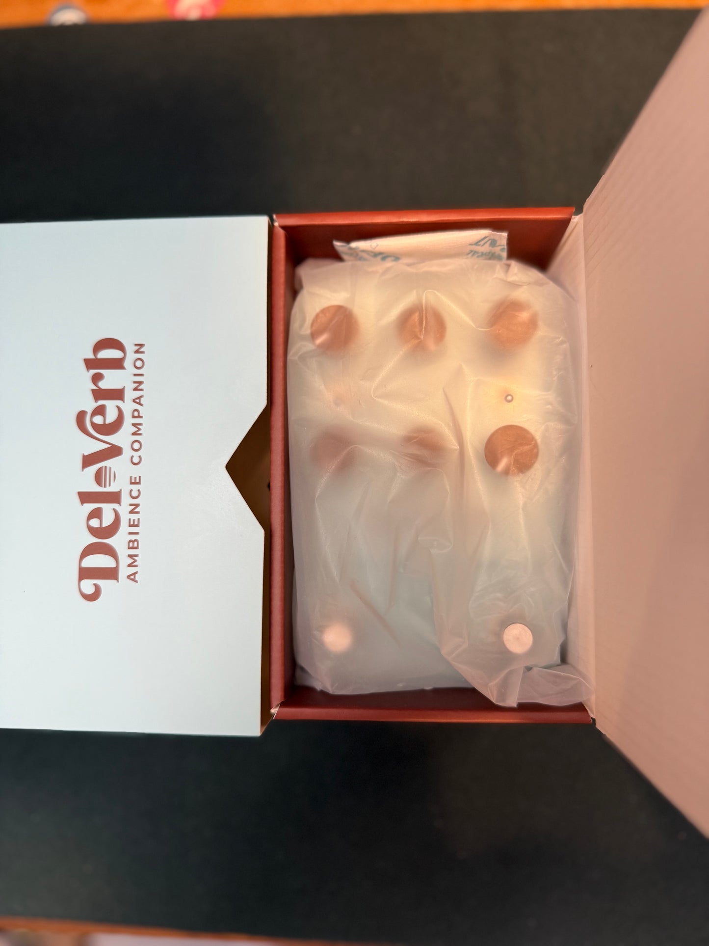 UAFX Del-Verb Ambience Companion