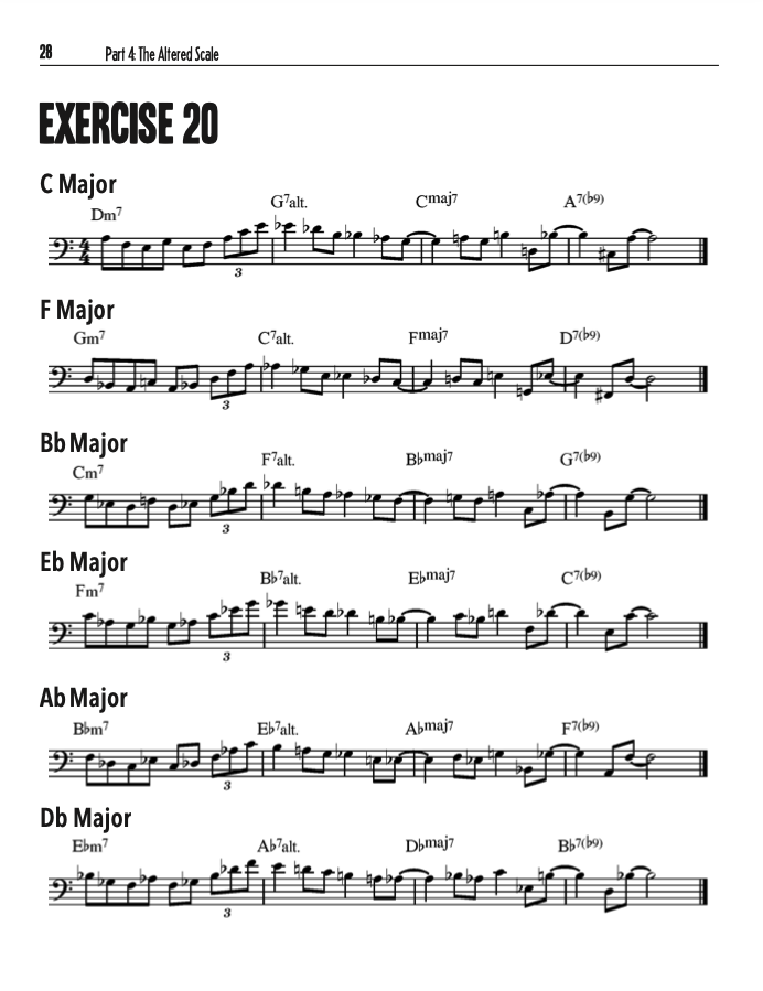 Dominant Harmony Bundle